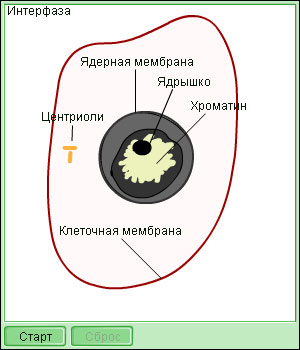 Реферат Текст и Его Строение